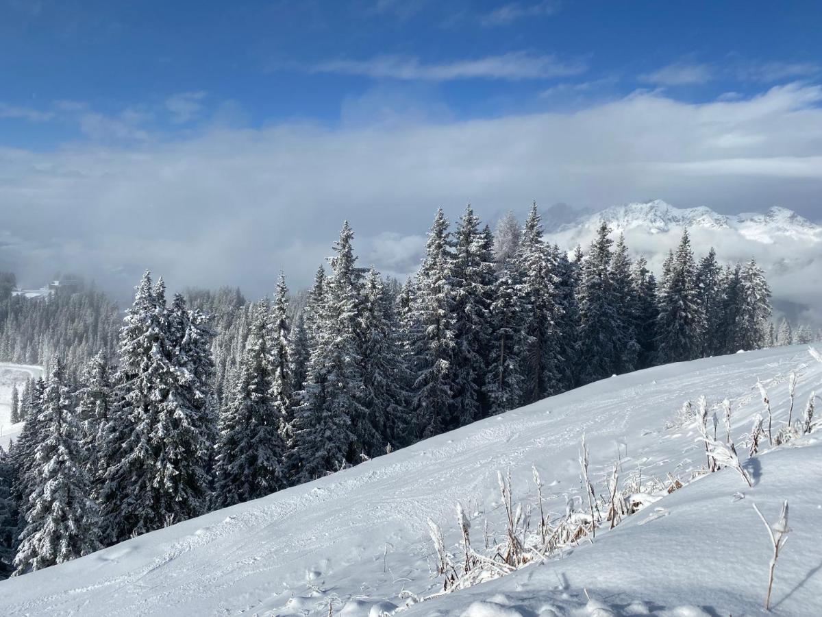 Appartement Steinfisch Ramsau am Dachstein Esterno foto