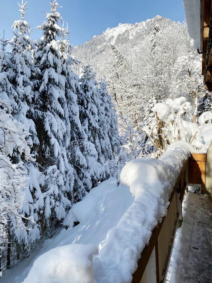 Appartement Steinfisch Ramsau am Dachstein Esterno foto