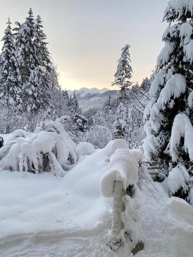Appartement Steinfisch Ramsau am Dachstein Esterno foto